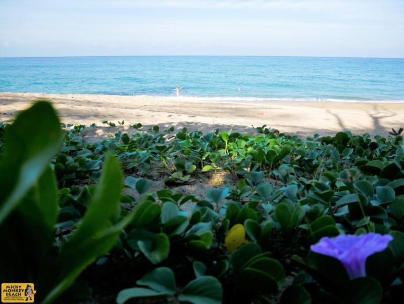 Micky Monkey Beach At Maikhao Beach Hotel Mai Khao Luaran gambar